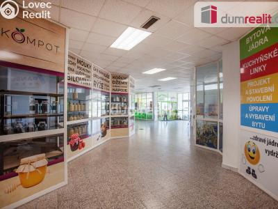 Pronájem komerční nemovitosti České Budějovice, Fr. Ondříčka 417 č. 5