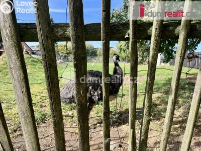 Prodej stavebního pozemku Mnichov č. 11