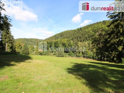 Prodej stavebního pozemku Merklín č. 3