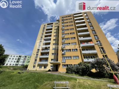 Pronájem bytu 1+KK Příbram, Riegrova 54 č. 7