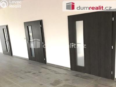 Prodej obchodního prostoru Ústí nad Labem, Jungmannova 886 č. 11