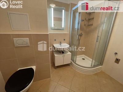 Pronájem bytu 2+KK Příbram, K Drkolnovu č. 4