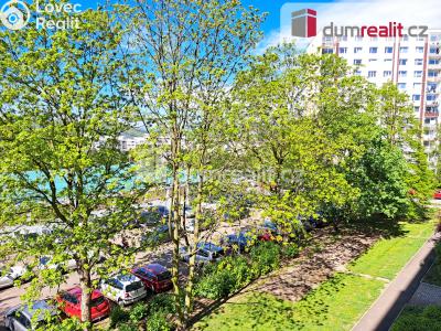 Prodej bytu 2+1 Ústí nad Labem, Ladova 2532 č. 12