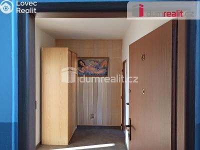 Pronájem bytu 2+1 Ostrov, Severní č. 7