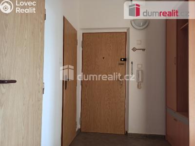 Pronájem bytu 2+1 Ostrov, Severní č. 8