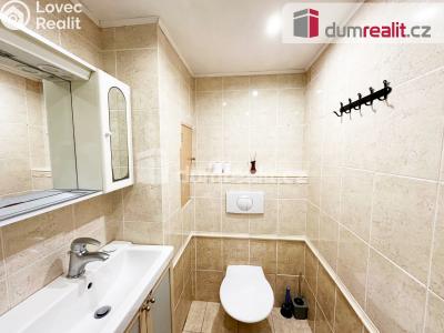 Pronájem bytu 2+1 Ústí nad Labem, SNP 2352 č. 6