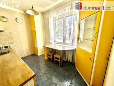 Prodej bytu 2+1 Ústí nad Labem, Střekovské nábřeží 1160 č. 10