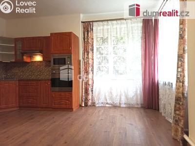 Pronájem bytu 1+KK Karlovy Vary, Bezručova 1374 č. 17