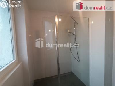 Pronájem bytu 2+1 Karlovy Vary, Lesní 255 č. 15