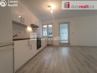 Pronájem bytu 2+1 Karlovy Vary, Lesní 255 č. 18