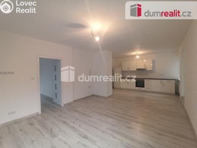 Pronájem bytu 2+1 Karlovy Vary, Lesní 255 č. 19