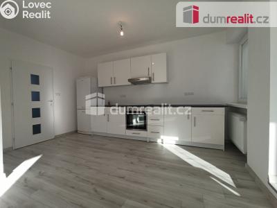 Pronájem bytu 2+1 Karlovy Vary, Lesní 255 č. 20