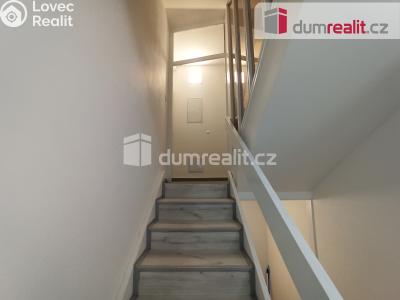 Pronájem bytu 2+1 Karlovy Vary, Lesní 255 č. 12