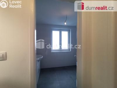 Pronájem bytu 2+1 Karlovy Vary, Lesní 255 č. 15