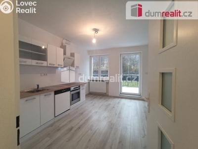 Pronájem bytu 2+1 Karlovy Vary, Lesní 255 č. 19