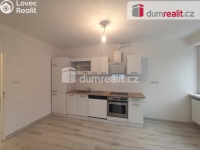 Pronájem bytu 2+1 Karlovy Vary, Lesní 255 č. 21