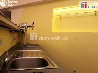 Pronájem restaurace Brno, Zahradnická č. 12