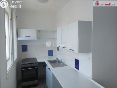 Pronájem bytu 1+KK Plzeň, Škroupova 1982 č. 2