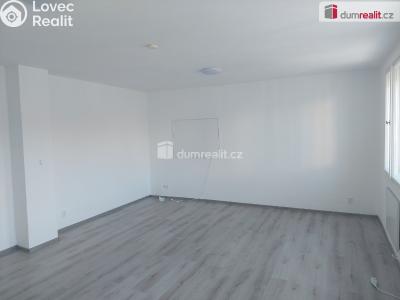 Pronájem bytu 1+KK Plzeň, Škroupova 1982 č. 3