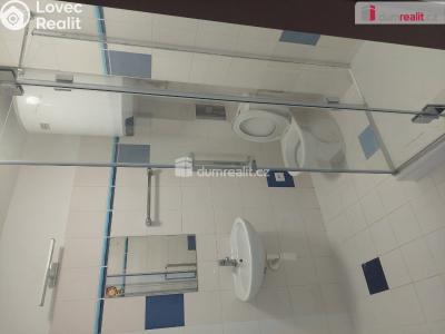 Pronájem bytu 1+KK Plzeň, Škroupova 1982 č. 4