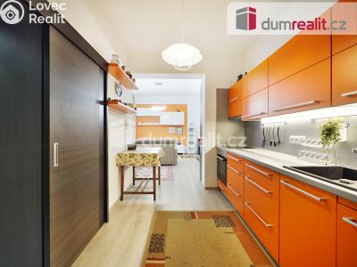 Prodej bytu 1+KK Kralupy nad Vltavou, Vrchlického 600 č. 11