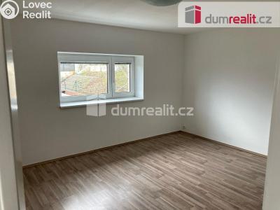 Pronájem rodinného domu Králův Dvůr, Na Dlouhých 456 č. 4