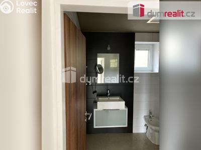 Pronájem rodinného domu Králův Dvůr, Na Dlouhých 456 č. 7