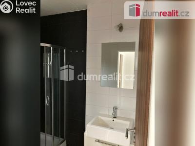 Pronájem rodinného domu Králův Dvůr, Na Dlouhých 456 č. 13