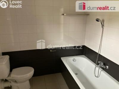 Pronájem rodinného domu Králův Dvůr, Na Dlouhých 456 č. 16