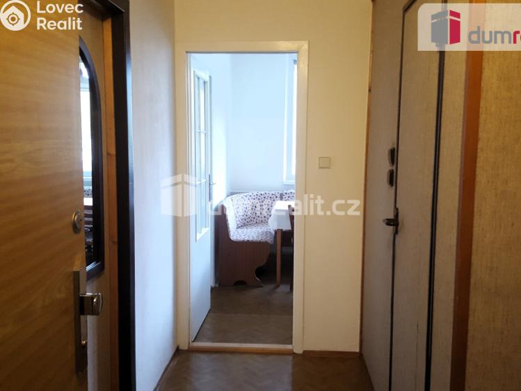 Pronájem bytu 1+1 Brno, Rerychova 1076 č. 3