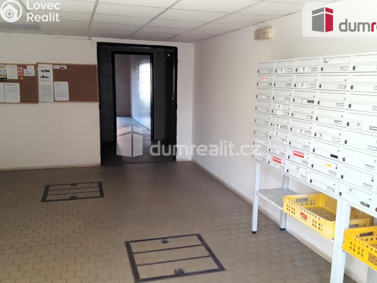 Pronájem bytu 1+1 Brno, Rerychova 1076 č. 20