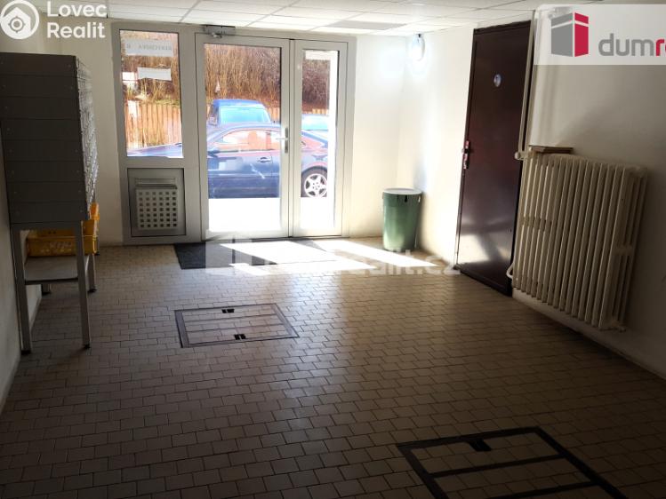 Pronájem bytu 1+1 Brno, Rerychova 1076 č. 22