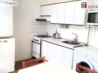 Pronájem bytu 1+1 Brno, Rerychova 1076 č. 4