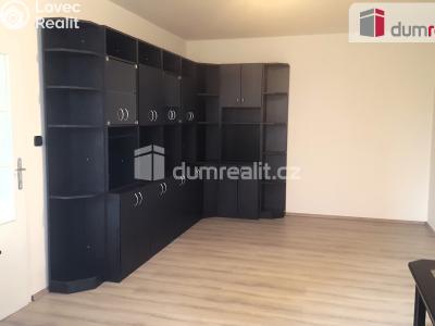Pronájem bytu 1+1 Brno, Rerychova 1076 č. 11