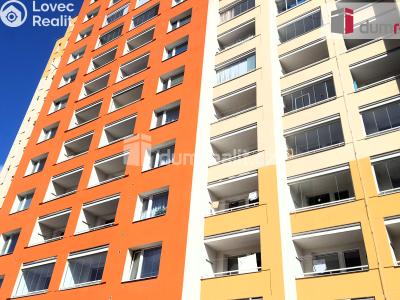 Pronájem bytu 1+1 Brno, Rerychova 1076 č. 25