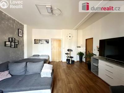 Pronájem bytu 2+1 Ústí nad Labem, Zeyerova 757 č. 6