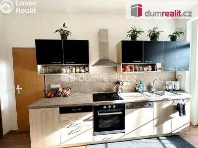 Pronájem bytu 2+1 Ústí nad Labem, Zeyerova 757 č. 1