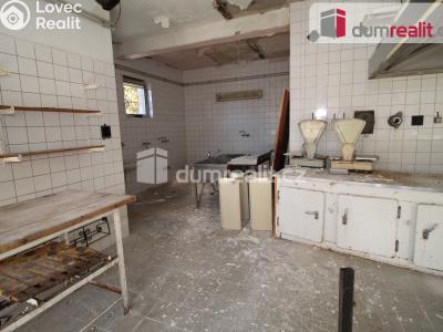 Prodej činžovního domu Lázně Kynžvart, Vrchlického 88 č. 10