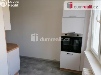 Pronájem bytu 2+1 Karlovy Vary, Janáčkova 719 č. 14