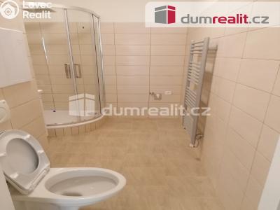 Pronájem bytu 2+1 Karlovy Vary, Janáčkova 719 č. 28