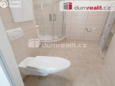 Pronájem bytu 2+1 Karlovy Vary, Janáčkova 719 č. 29