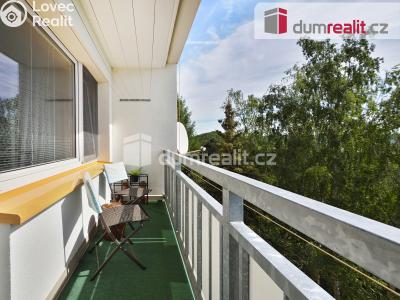 Prodej bytu 3+1 Chlumec, Alejní 271 č. 4