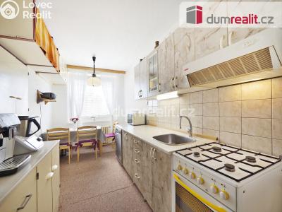 Prodej bytu 3+1 Chlumec, Alejní 271 č. 1