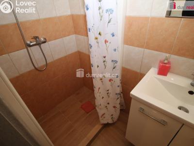 Prodej ubytovacího zařízení Chodová Planá, Pohraniční stráže 338 č. 24