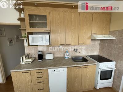 Pronájem bytu 3+1 Příbram, Ryneček 153 č. 8