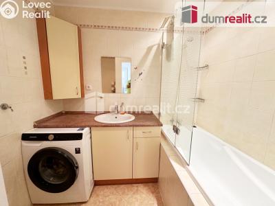 Pronájem bytu 3+1 Ústí nad Labem, Voskovcova 2752 č. 9