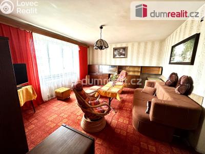 Prodej bytu 2+1 Ostrov, Hlavní třída 963 č. 2