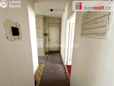 Prodej bytu 2+1 Ostrov, Hlavní třída 963 č. 8