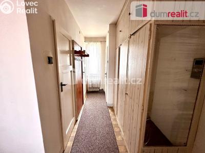 Prodej bytu 2+1 Ostrov, Hlavní třída 963 č. 6