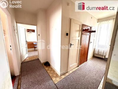 Prodej bytu 2+1 Ostrov, Hlavní třída 963 č. 7